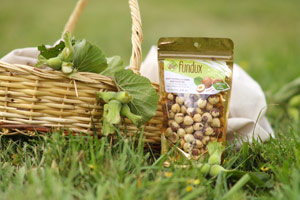 Fındık ve Fındık Ürünleri